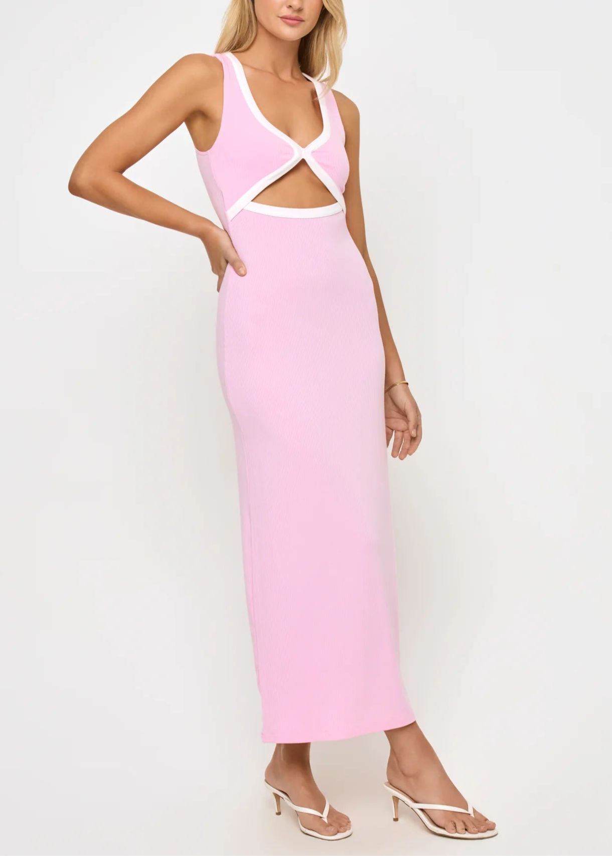 Steph Dress in Rosewater