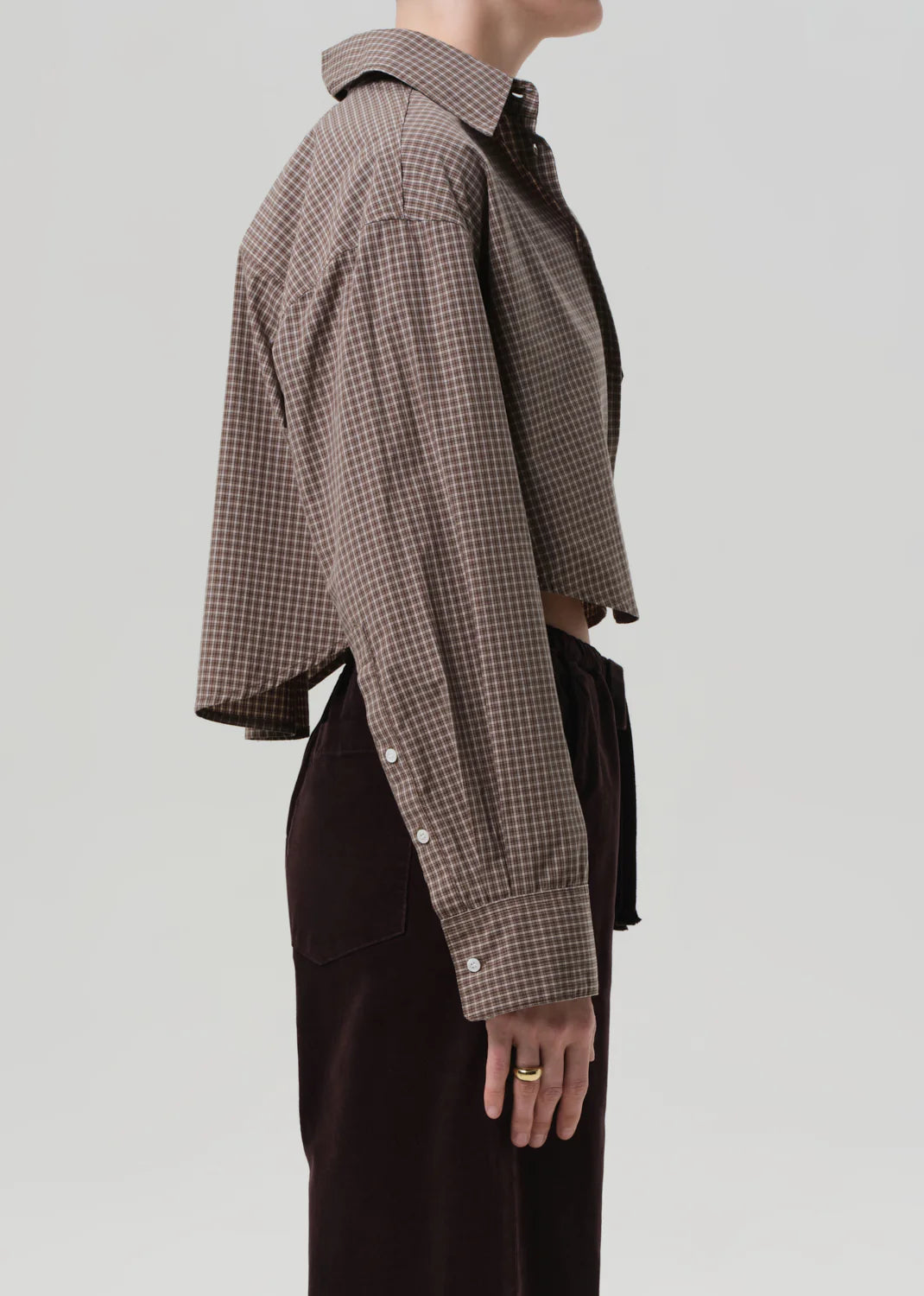 Ana Cropped Shirt in Heritage Stripe
